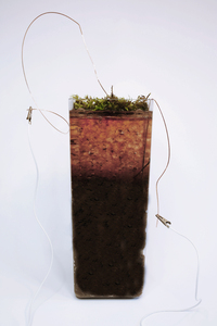 Bild: Bacteria Battery